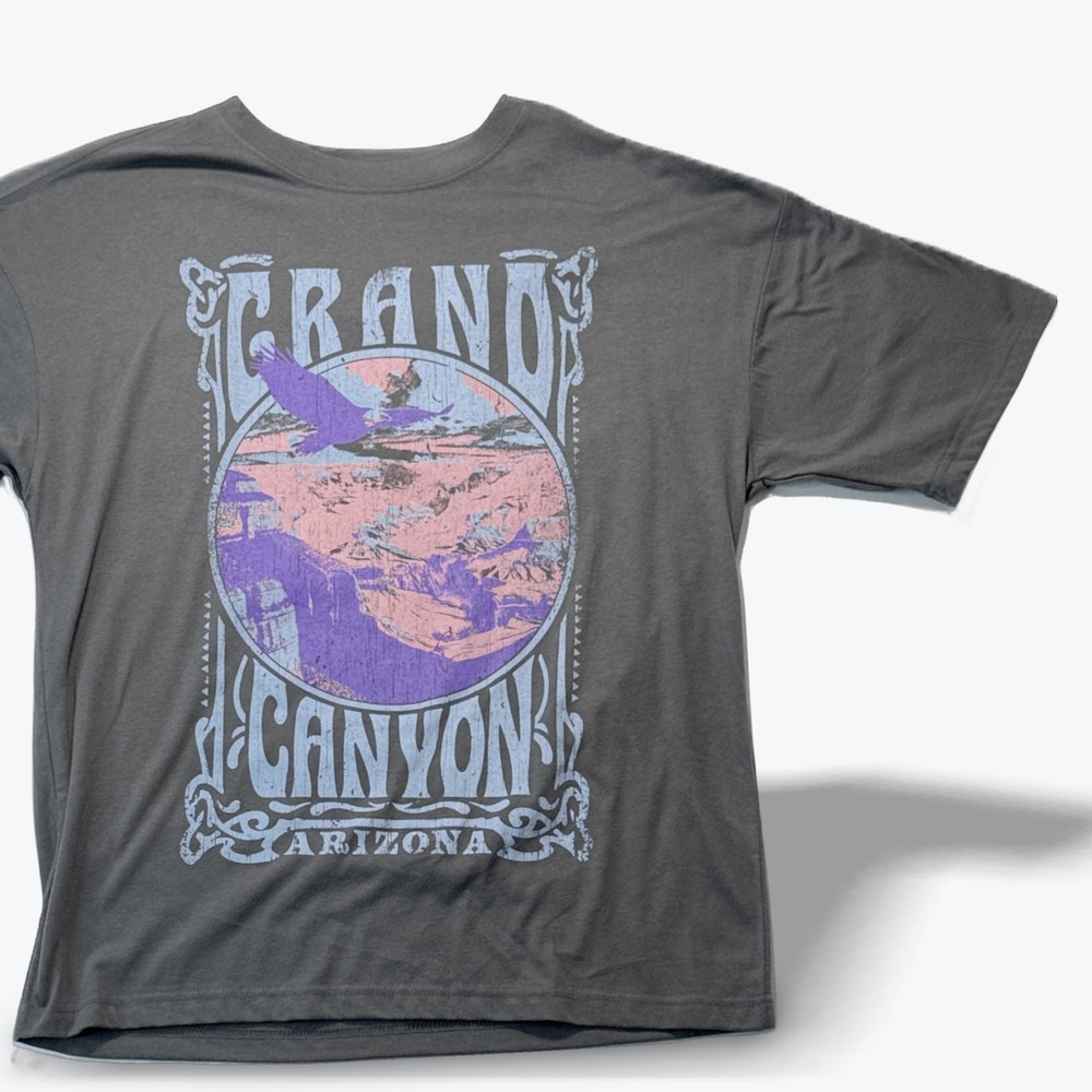 Mad Engine Graphic T Shirt ME87 Grand Canyon Arizona Eagle Mens Small Gray S